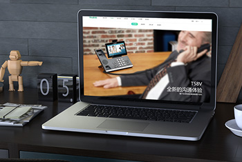 ���ɹ�����