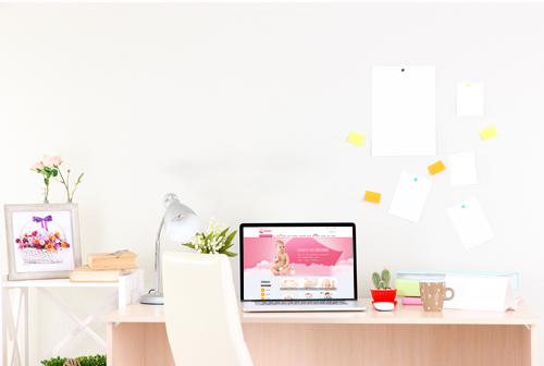 ���ɹ�ĸ������