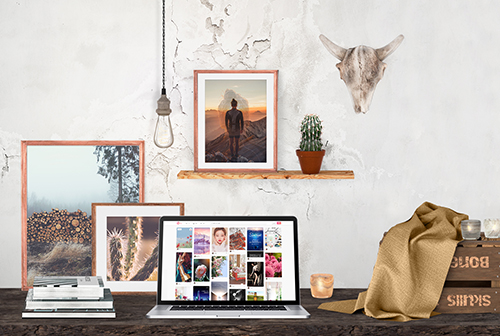 ���ɹ�ͼƬ��